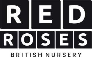 Red Roses British Nursery